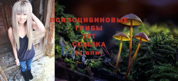 гашиш Абаза