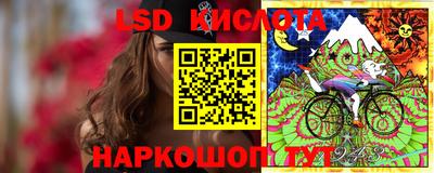 СК Заводоуковск