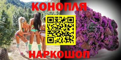 СК Заводоуковск