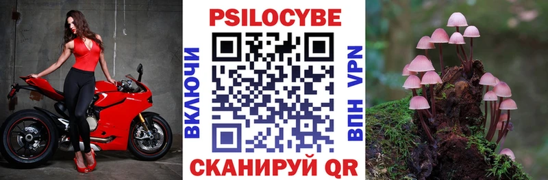 где продают наркотики  Ханты-Мансийск  Галлюциногенные грибы MAGIC MUSHROOMS 