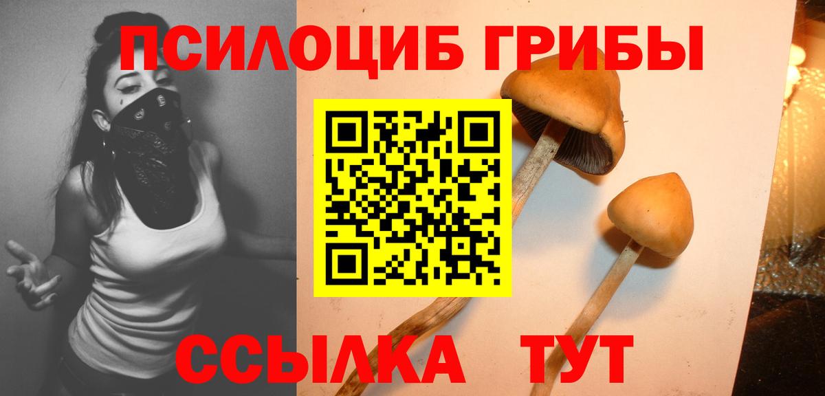 Псилоцибиновые грибы GOLDEN TEACHER Ханты-Мансийск
